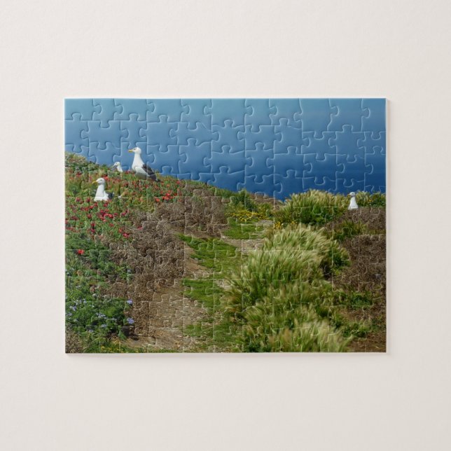 Blommor och måsar på Anacapa Island Pussel (Horisontell)