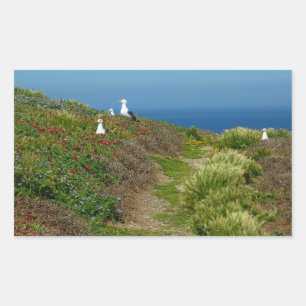 Blommor och måsar på Anacapa Island Rektangulärt Klistermärke