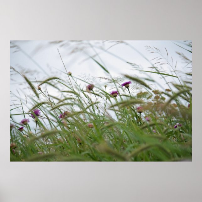 Blommor och Ogräs poster (Framsidan)