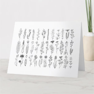 Blommor och Örter Bläck Teckning Kort