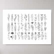 Blommor och Örter Bläck Teckning
