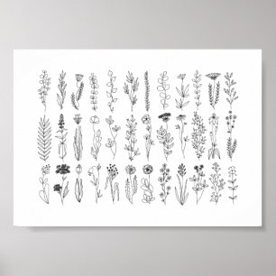 Blommor och Örter Bläck Teckning Poster
