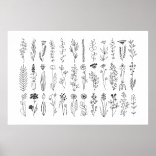 Blommor och Örter Bläck Teckning Poster