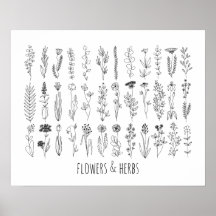 Blommor och Örter Bläck Teckning Poster