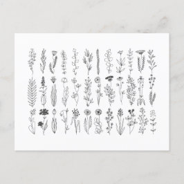 Blommor och Örter Bläck Teckning Vykort