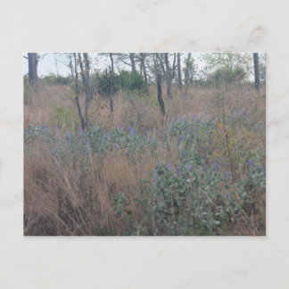 Blommor och pensel vykort