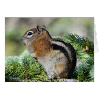 Blommor och söt liten Chipmunk Hälsningskort