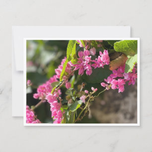 Blommor och stativ vykort