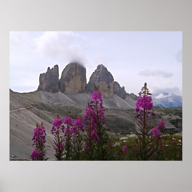 Blommor och Tre Cime Poster (Framsidan)