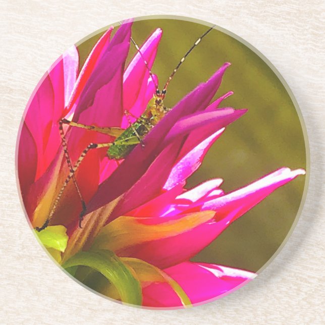 Blommor och vänner Underlägg (Framsidan)