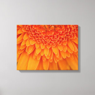 Blommor - omformade kanvas