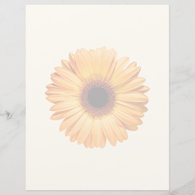 Blommor | Orange Gerbera (Framsida)