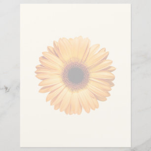 Blommor Orange Gerbera