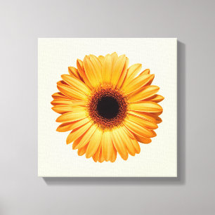 Blommor Orange Gerbera Canvastryck