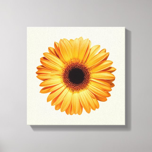 Blommor | Orange Gerbera Canvastryck (Framsida)
