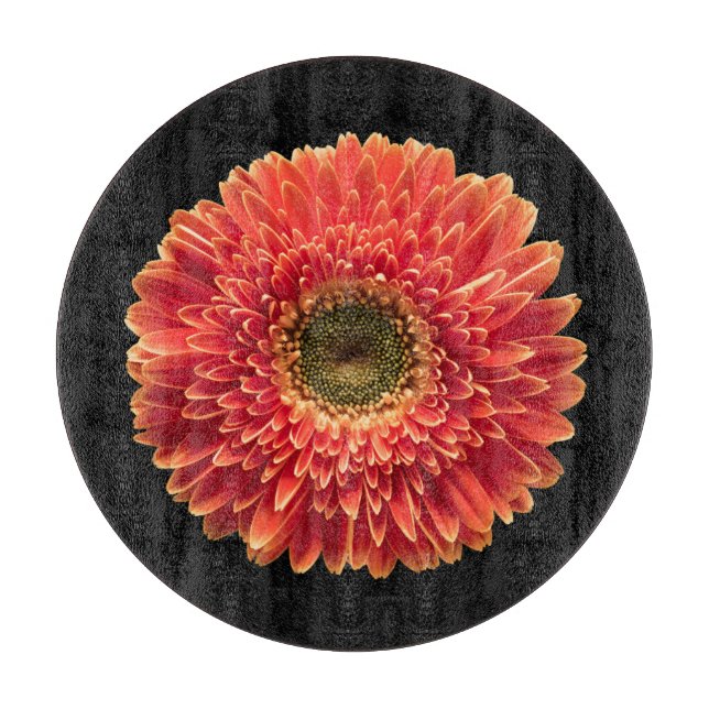 Blommor | Orange Gerbera Daisy (Framsidan)