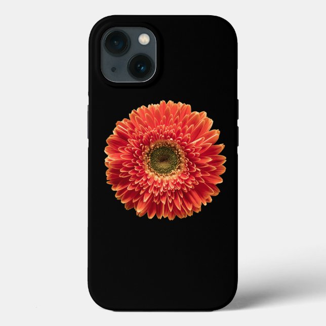 Blommor | Orange Gerbera Daisy (Baksida)