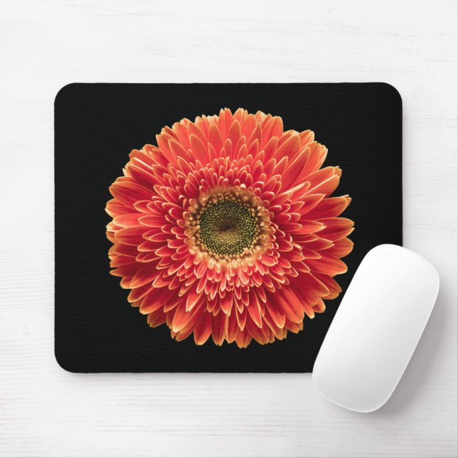 Blommor | Orange Gerbera Daisy Musmatta (Med mus)