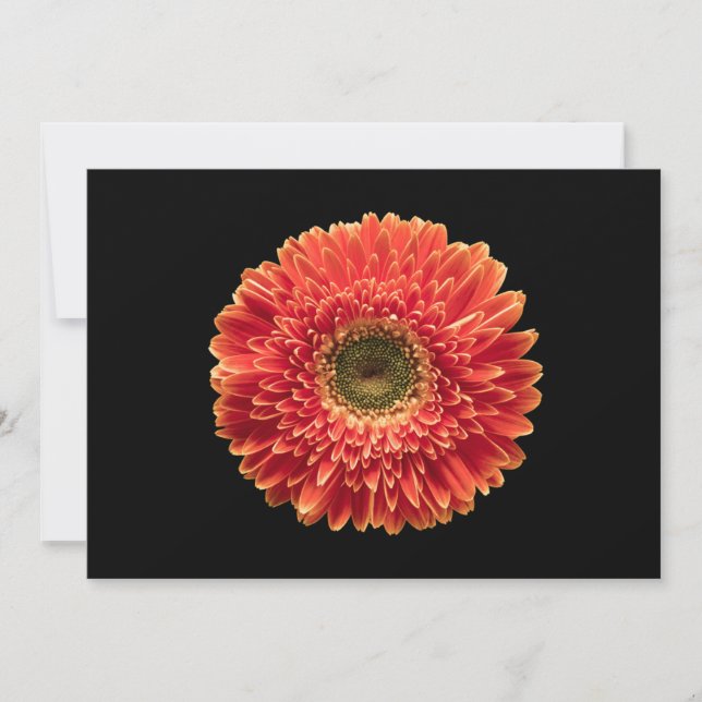 Blommor | Orange Gerbera Daisy Tack Kort (Framsida)