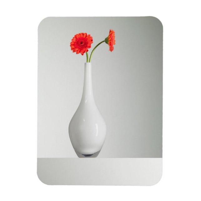 Blommor | Orange Gerbera i Vas Magnet (Vertikal)