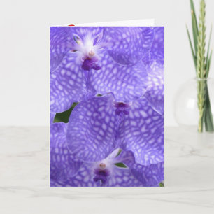 Blommor Orkidéer Fred kärlek Öde Tack Kort