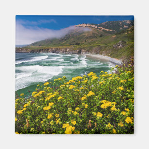 Blommor ovanför Sand Dollar Beach Magnet