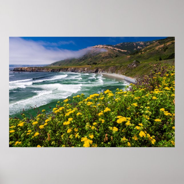 Blommor ovanför Sand Dollar Beach Poster (Framsidan)