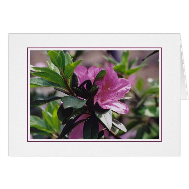 Blommor på den Gibbs lantgården Hälsningskort (Framsidan Horizontal)