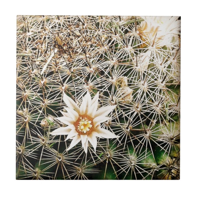 Blommor på en Cactus Kakelplatta (Framsidan)