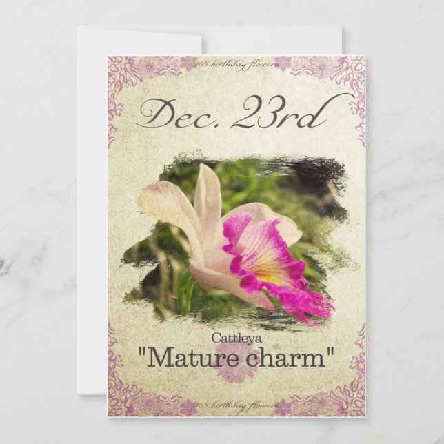 Blommor på födelsedagen den 23 december "Cattleya" Kort (Framsida)