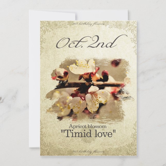 Blommor på födelsedagen den 2 oktober, "Apricot-bl Kort (Framsida)