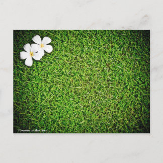 Blommor på gräsmatta vykort