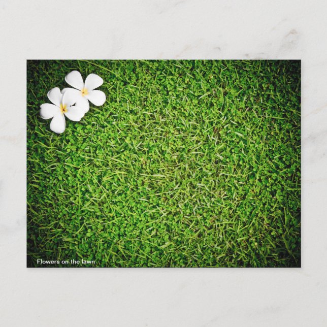 Blommor på gräsmatta vykort (Framsida)