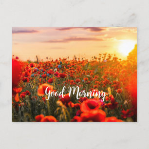 Blommor på morgonen vykort