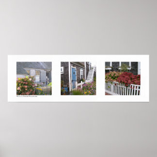 Blommor på Nantucket, Massachusetts Triptych Poster