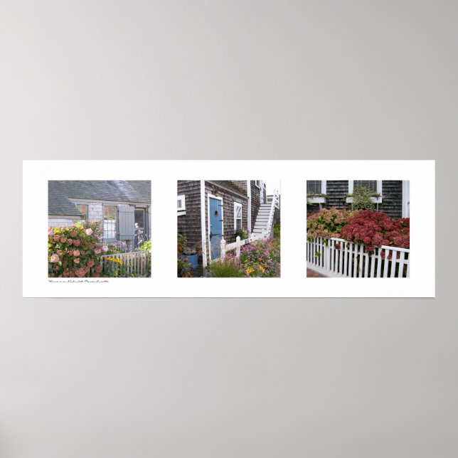 Blommor på Nantucket, Massachusetts Triptych Poster (Framsidan)