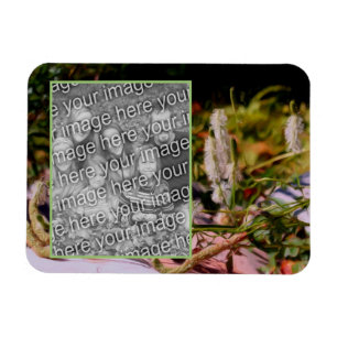 Blommor på Oljemålningen Sten Lägg till foto Magnet