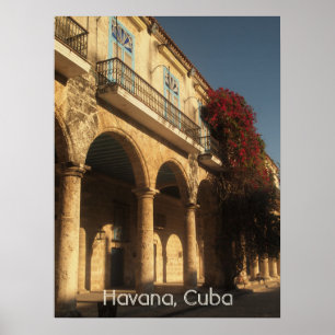 Blommor på Plaza de la Catedral, Havana affisch