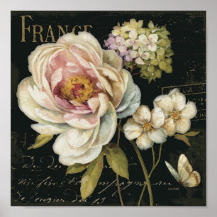 Blommor på svart poster