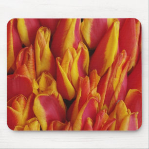 Blommor på vagn som firar Drottningens dag, en Musmatta