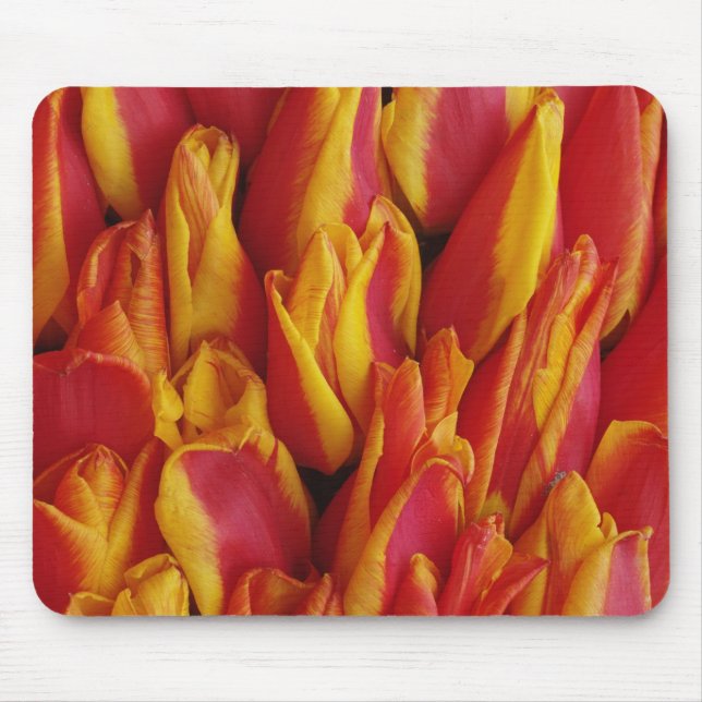 Blommor på vagn som firar Drottningens dag, en Musmatta (Framsidan)