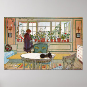 Blommor på Windows Sill Poster