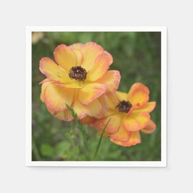 Blommor Pappersservett (Framsidan)