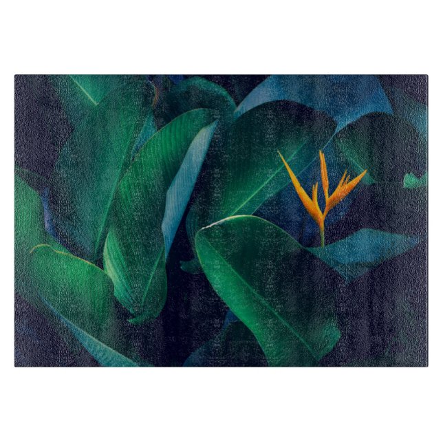 Blommor | Paradise-fågeln (Framsidan)