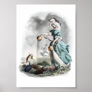 Blommor Personifierad-Poppy Poster