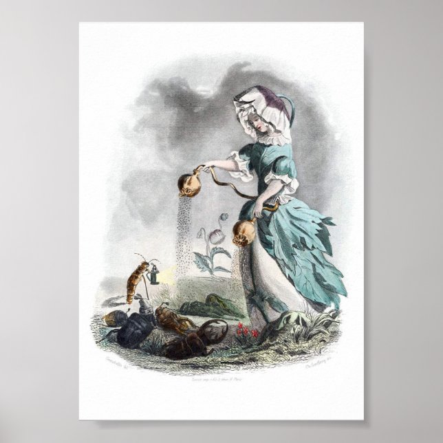 Blommor Personifierad-Poppy Poster (Framsidan)