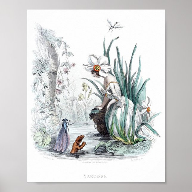 Blommor Personifierade-Daffodil Poster (Framsidan)