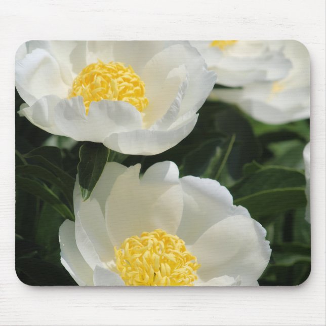 Blommor, ponnyer musmatta (Framsidan)