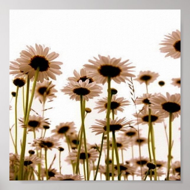 Blommor Poster (Framsidan)