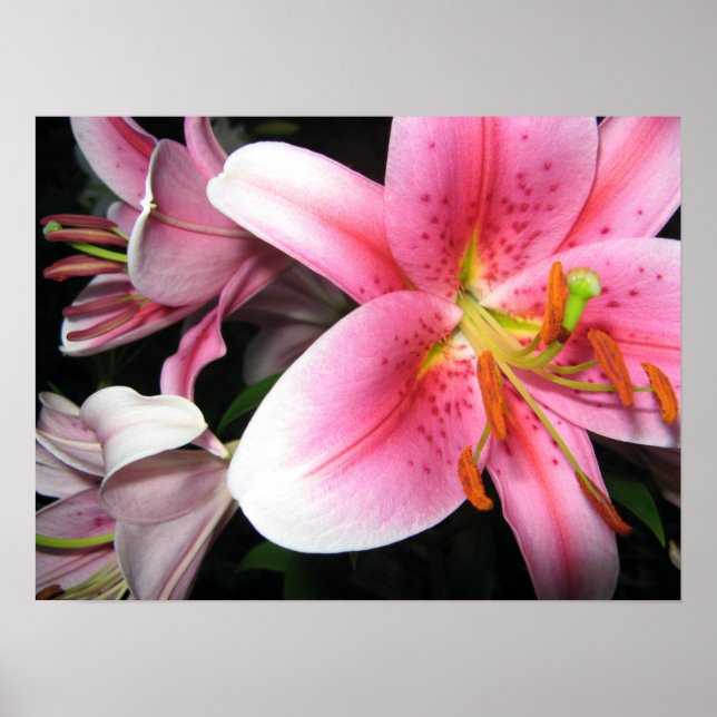 Blommor Poster (Framsidan)